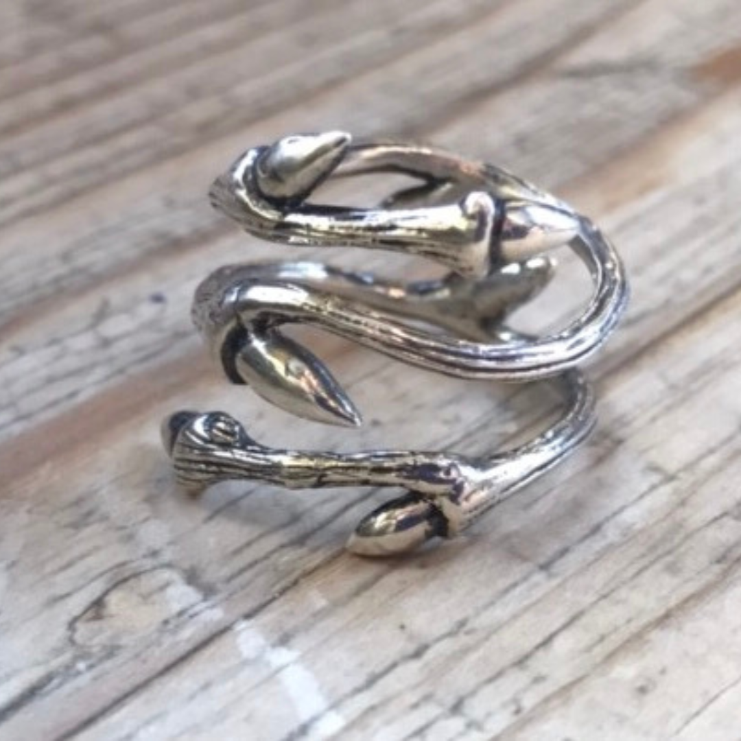 Silver Spring Ring